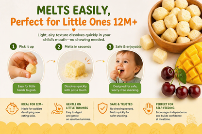 Purely Kids Organic Tropical Fruit Melts